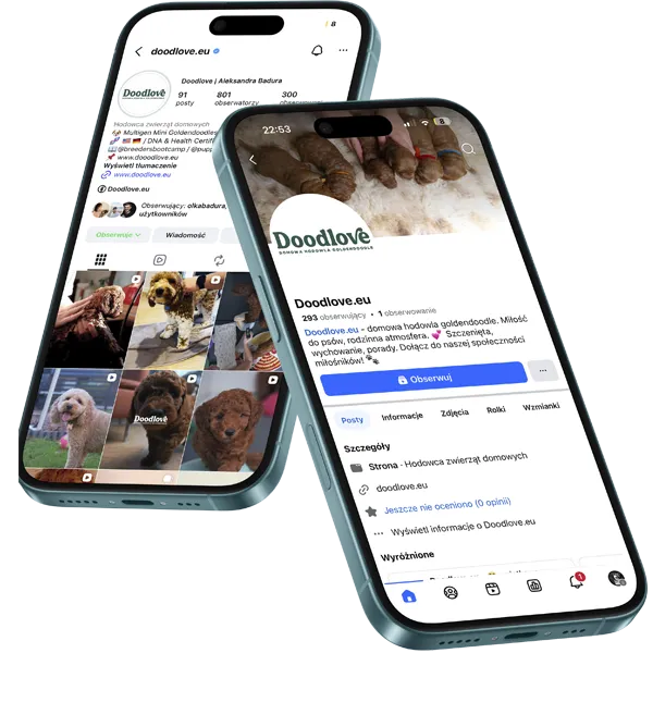 Social media preview