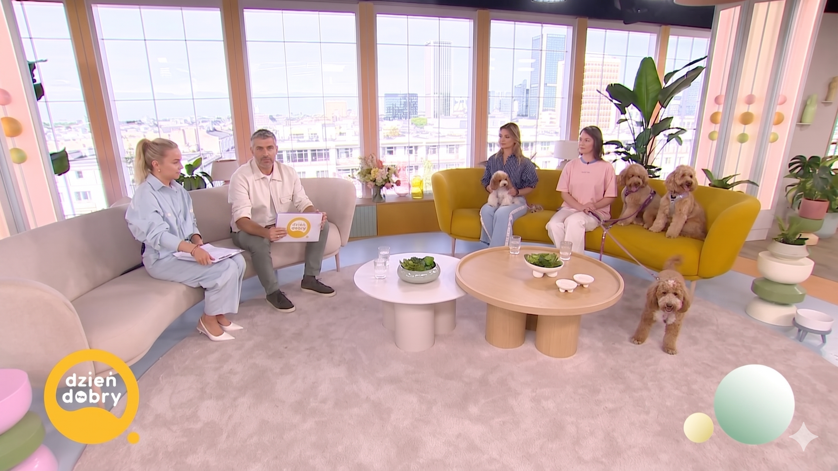 Doodlove w Dzień Dobry TVN